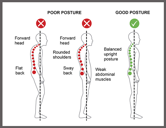 The normal standing upright posture
